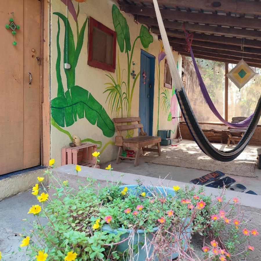 El Hostel De Ivanna Mazunte Dış mekan fotoğraf