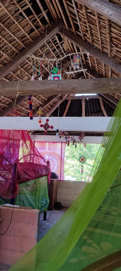 El Hostel De Ivanna Mazunte Dış mekan fotoğraf